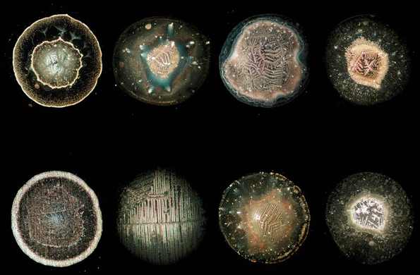 Kröplin Bilder Trocknungsbilder von der Website WeltimTropfen.de