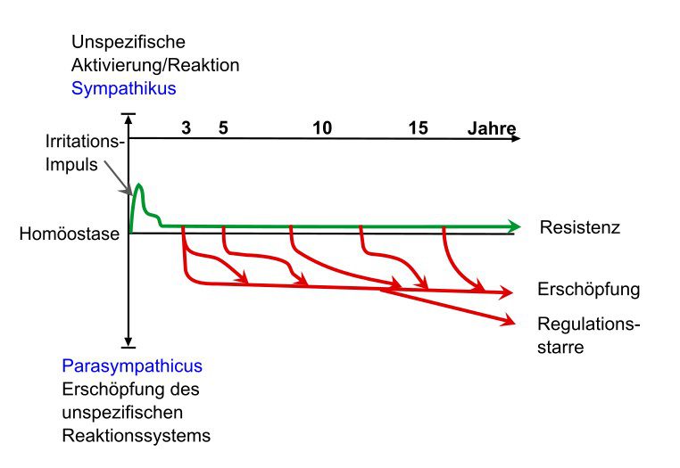 Sympathikus Parasympathikus Reaktionssystem